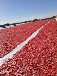 Tomates séchées au soleil de haute qualité d'Égypte - Product Image 2