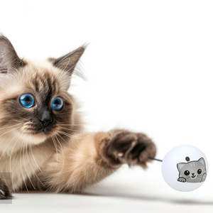 ของเล่นแมวแบบมีเสียง ทำจากพลาสติกที่เป็นมิตรกับสิ่งแวดล้อม ดีไซน์ทันสมัย พร้อมกระดิ่งและลูกบอล - Product Image 2