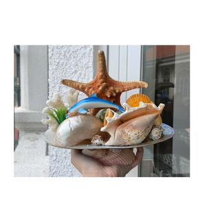 Artisanat et cadeaux en résine personnalisés Décoration artisanale de dauphins et de coquillages pour l'aménagement paysager des aquariums et cadeaux créatifs - Product Image 4