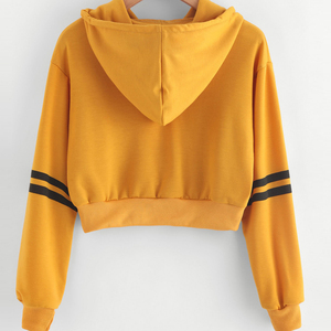 Sweat à capuche court pour femmes à la mode pull brodé personnalisé Streetwear urbain Fit OEM approvisionnement direct en usine - Product Image 5