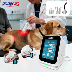 Thérapie par <span class=keywords><strong>laser</strong></span> de classe 4 pour chevaux et chiens, soulagement des douleurs au genou, à la cheville, au dos, des blessures musculaires, des lésions des ligaments et des tendons - Fabriqué en Chine - Product Image 1