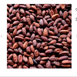 Offre spéciale de fèves de cacao crues séchées fèves de cacao fermentées fèves de cacao Ariba fèves de cacao à vendre - Product Image 1
