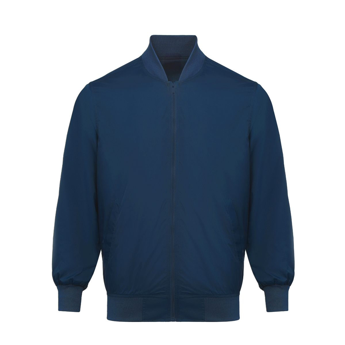 กองทัพเรือมืออาชีพ