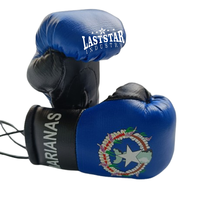 Gants de boxe miniatures durables personnalisés OEM en cuir PU, design drapeau de pays, pour porte-clés de voiture, vente en gros, Bosnie