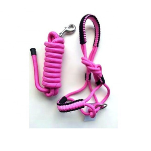 Cordes de plomb pour cheval Cordes de plomb en coton Cheval de couleur bleu royal Corde de plomb pour cheval Pied Robuste Poly Laiton Snap Bonne qualité - Product Image 5