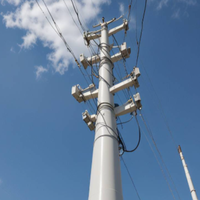 Poteau télécom en PRV pour projets d'infrastructure en promotion - Fabricant de poteaux utilitaires en fibre de verre robustes