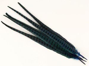 Plumas de Cola de Faisán Reeves Naturales de Alta Calidad, de 20-150 cm, Plumas Grandes - Product Image 3