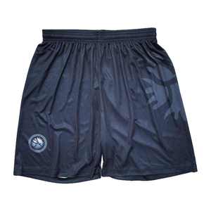 Conjunto de Lucha de Verano 2025 Personalizado para Hombre, Transpirable, de Punto, Camisetas + Pantalones Cortos, Impresión Serigráfica, Conjunto de 2 Piezas, Internacional - Product Image 3