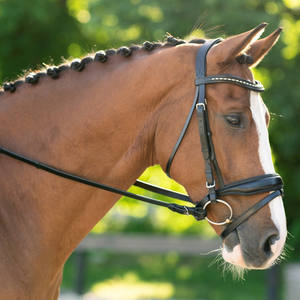 Brida snaffle - Product Image 1