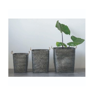 Decorative Garden <b>Herb</b> Conical <b>Pots</b> Metal Flower <b>Pot</b> Set With Golden Handles Home Decoration Metal Galvanized Planter - Product Image 4
