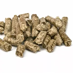 Wholesale Price wood pellets 15kg Bags packaging Birch Wood Pellets (Din plus / EN plus Wood Pellets A1 ) ready for export