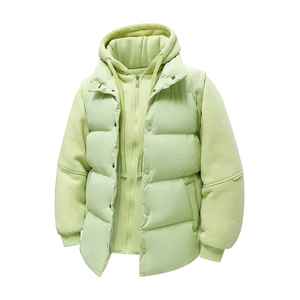 Veste rembourrée à capuche automne hiver hommes épais chaud bouffant pour Camping en plein air marque OEM Service - Product Image 3