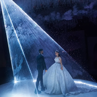 Cinderellas Traumhochzeit Laser-Lichteffekt 10W RGB Animation Mobile App Drahtlose Steuerung Hochzeitsparty Bühnenlicht für den Eröffnungstanz