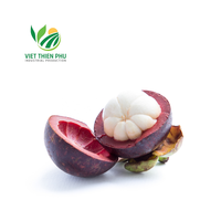 Vietnam Verse Mangosteen/Hoogwaardig Standaardfruit