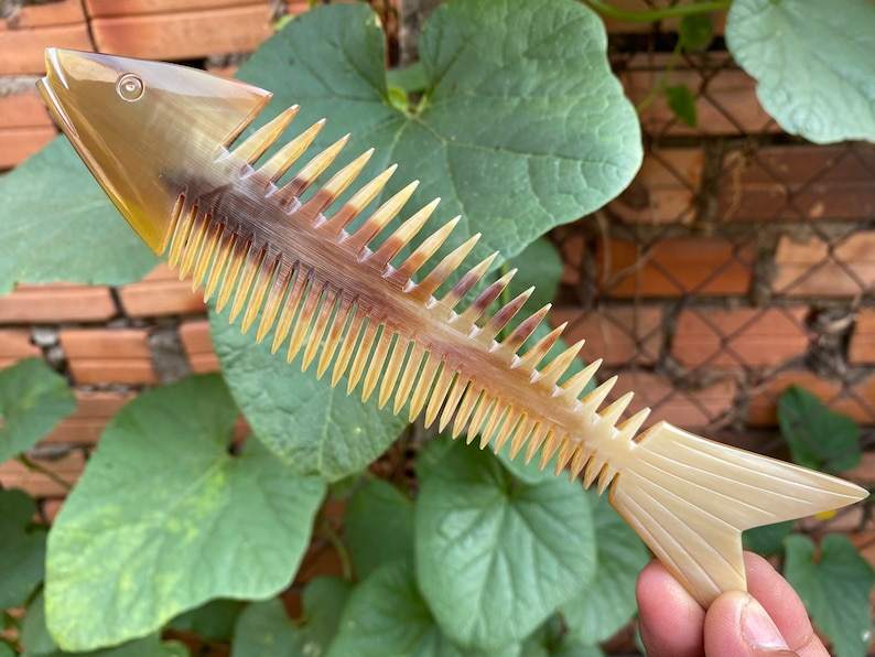 เขาสัตว์ธรรมชาติ