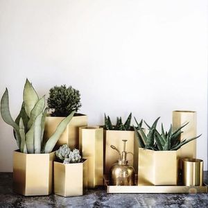 Maceta de Metal de Mesa para Hierbas y Suculentas, Decoración de Interiores de Lujo para el Hogar, Hotel, Restaurante - Product Image 6