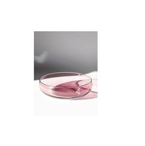 Bol de service de forme ronde en verre transparent à thème établi avec conception de crabes excellente qualité pour le service - Product Image 1