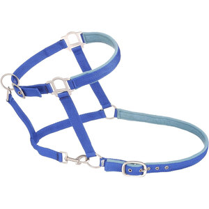Licol de cheval rembourré en Nylon de qualité supérieure matériel de finition Satin doux collier de tête Durable réglable chevaux formation toilettage - Product Image 2