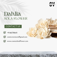 Bunga Dahlia Sola Organik Ramah Lingkungan Buatan Tangan, Laris Manis, Tren Terbaru, Grosir, Dekorasi Rumah untuk Acara Indoor/Outdoor