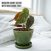 Pot de fleurs en céramique moderne avec glaçure verte brillante, avec plateau, rond, pour la maison, le jardin, la décoration de bureau