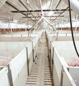 Struttura in acciaio a basso prezzo casa di allevamento di suini automatico capannone per suini prefabbricato penna sistema di alimentazione di porco kit per la casa del maiale - Product Image 6