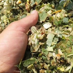 SILAJE DE MAÍZ FERMENTADO PREMIUM DE VIETNAM PARA GANADO Y GANADERO/MEJOR CALIDAD PARA GANADO - Product Image 5