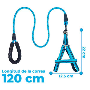 Kit Guinzaglio e Pettorina di Lusso per Cani di Taglia Media, Personalizzabile, in Poliestere a Righe o Tinta Unita, Modello Semplice per Uso Esterno, Taglie Grandi e XL - Product Image 2