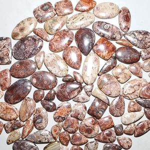 Cabujón de jaspe de ojo de pájaro verde de grado AAA de alta calidad 100% piedras preciosas mexicanas naturales forma de mezcla piedras preciosas sueltas de la mejor calidad - Product Image 1