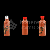 Bouteille d'eau en argile de 750ml avec un design traditionnel utilitaire moderne et un débit de paille pour la salle de sport et les affaires en plein air