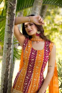 Diseñador bordado Sharara traje elegante tradicional boda festivales desgaste trabajo hecho a mano detalle Salwar estilo para especial - Product Image 3