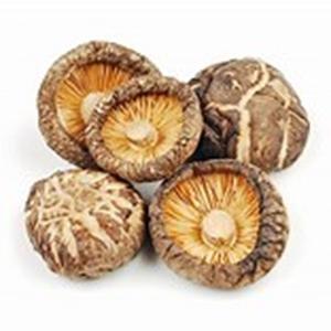 Champignons frais congelés prêts à exporter à vendre à bas prix - Product Image 4