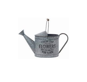 Arrosoir en fer galvanisé vintage grande capacité 9L 10L, modèle MOON STAR EXPORTS Am 9891, durable et écologique, vente chaude - Product Image 1