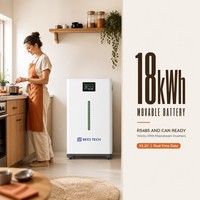 Batterie LiFePO4 BEES TECH 18 kWh 51,2 V avec indicateur lumineux LED pour alimentation hors réseau de villa, options 300 Ah, 314 Ah, 350 Ah