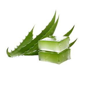 CUBOS DE ALOE VERA NATURAL/SALUD DEL TRIPO/SIN AZÚCAR AÑADIDO/AMIGABLE VEGANO - Product Image 3