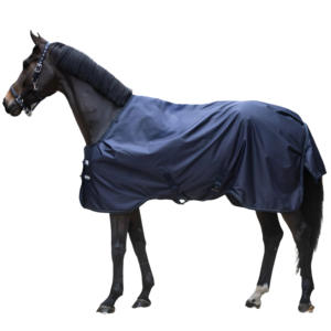 Outdoor Turnout <b>Rug</b> 50g with <b>Padded</b> Withers and Waterproof Protection - Product Image 1