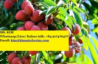 Verse Lychee