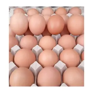Galinha marrom fresca, melhor qualidade ovos de tabela frescos em massa ovos castanhos
