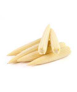 FOURNITURE EN VRAC DE QUALITÉ SUPÉRIEURE CONGELÉE DE JEUNE MAÏS/LÉGUMES ENTIERS POUR L'INDUSTRIE ALIMENTAIRE - Product Image 4