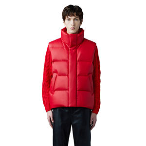 Chaqueta acolchada sin mangas informal con estilo para hombre con cuello levantado y cremallera, chaleco acolchado ligero para exteriores para temporada de invierno - Product Image 1