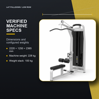 Máquina de Polea Horizontal y Remo Vertical con Pila de Pesas de 100 kg, Equipo de Gimnasio para Fortalecimiento de Espalda