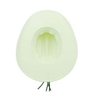 Sombrero de Paja de Verano con Flores Pequeñas y Frescas, Estilo Dulce, Protección Solar, Sombrero de Vaquero para Playa, Sombreros de Paja Transpirables - Product Image 5