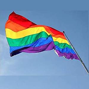 Pack of 2 <b>Rainbow</b> Gay Pride Flag, LGBT Lesbian 35Ft Banner, Stripe Outdoor Flags, Fade Resistant Durable Polyester with 2 - Product Image 4