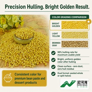 Haricots mungo décortiqués de qualité alimentaire, taux de décorticage de 98 % |   Pâte de haricots de qualité |   Bas niveau de réserves |   Vente en gros - Product Image 2