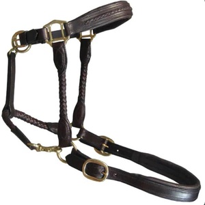 Licou de cheval en cuir rembourré robuste avec conception tressée à la main et double couture quincaillerie en laiton pour licou de course de chevaux - Product Image 3