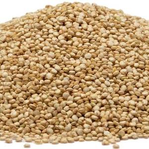 Graines de Quinoa Biologiques de Qualité Supérieure Certifiées ISO, Riche en Protéines, Grains Entiers Blancs, 100% Naturelles, Sac PP de 25 kg, En Vente - Product Image 1