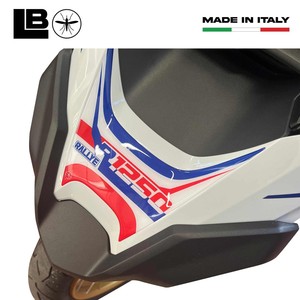 Adesivi in Gel 3D Personalizzati per Moto BMW R 1250 GS Rallye, Protezione Punta Becco - Product Image 3