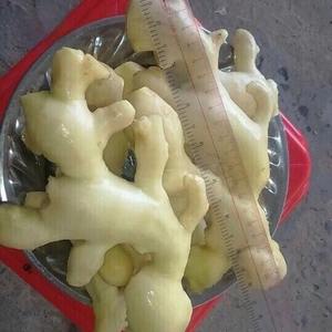 ขิงแช่แข็ง IQF กลิ่นหอมเข้มข้น ใช้งานสะดวก ขิงหั่นฝอยและขูดสำหรับแปรรูปอาหาร - แคริลิน - Product Image 2