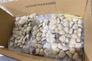 Almeja redonda entera congelada natural IQF envasado al vacío cocido precio al por mayor mercado global - Product Image 4