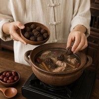 Prunes noires carbonisées en gros (Fructus Mume) pour soupes, ragoûts et cuisson – Approvisionnement en vrac