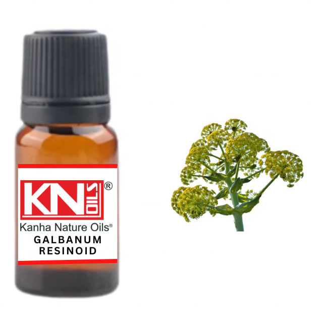 ตามที่แสดง